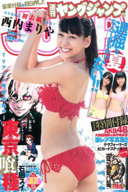 掌门女婿